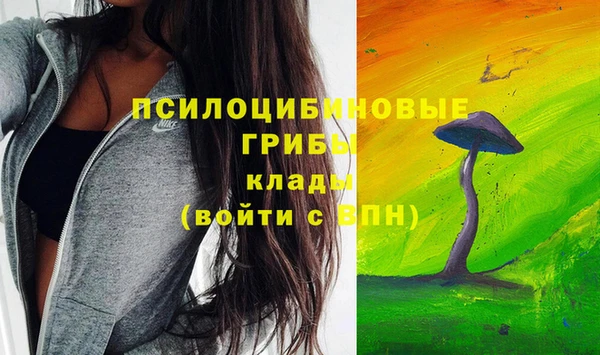 Альфа ПВП Алексин