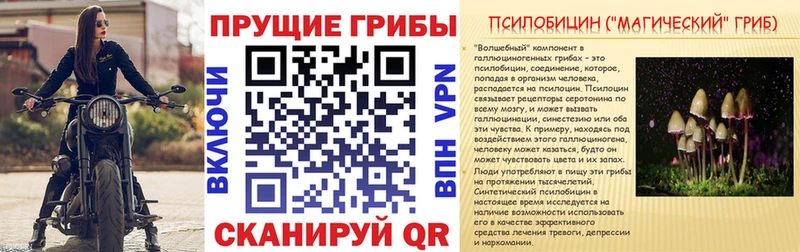 Галлюциногенные грибы мухоморы  магазин  наркотиков  Таштагол 